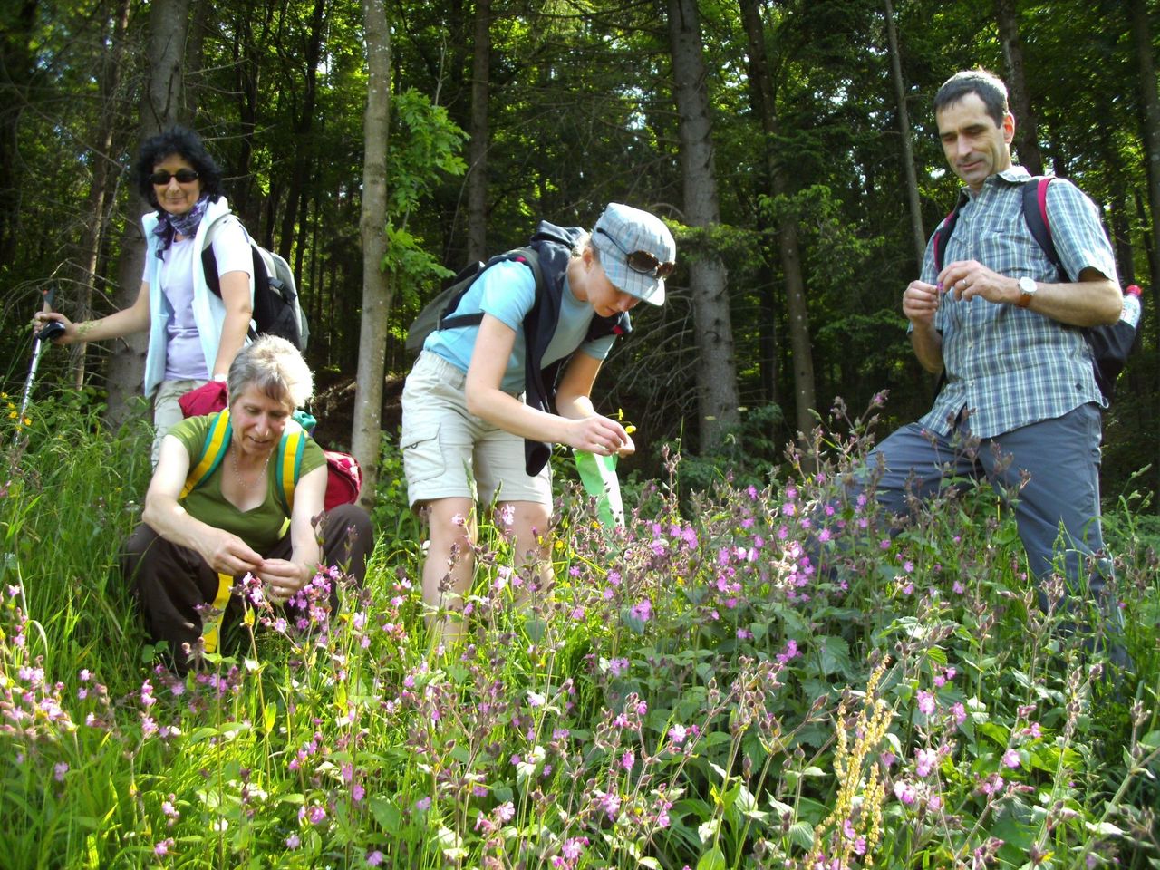 Book your Guide - geführte Wanderung für Gruppen im Jurapark Aargau