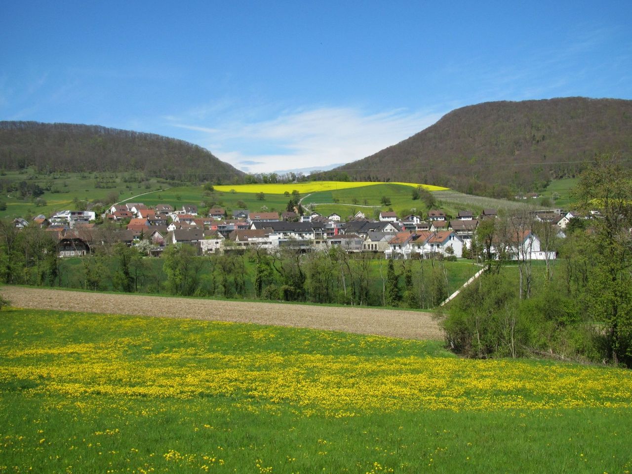 Küttigen
