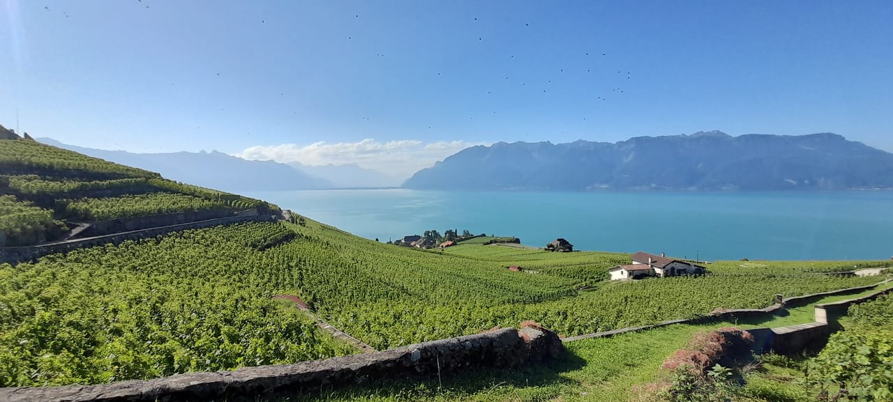 Apéro & Golf Indoor mit Wein am Genfersee