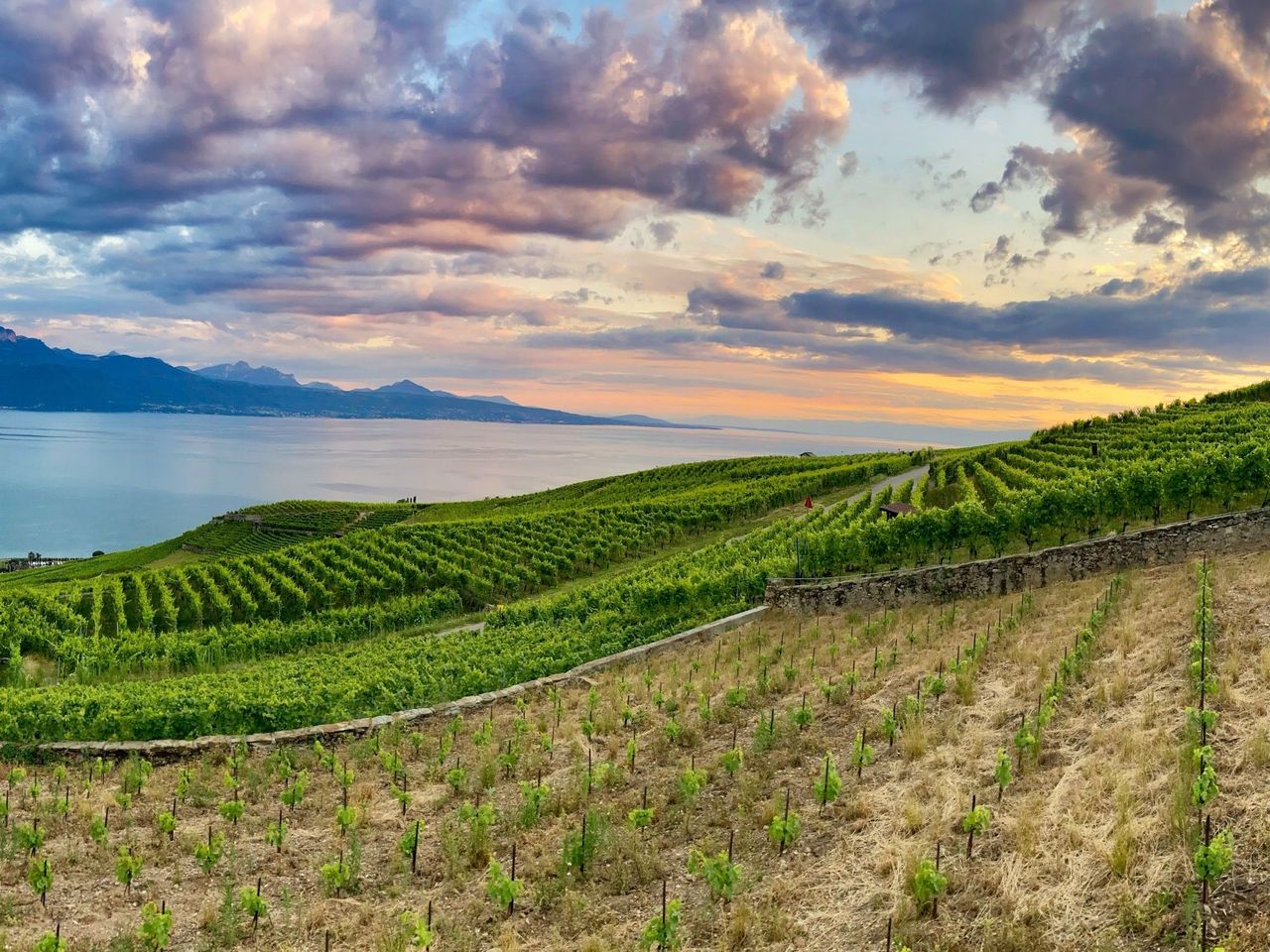 Bahnticket zwischen Lausanne und Montreux  