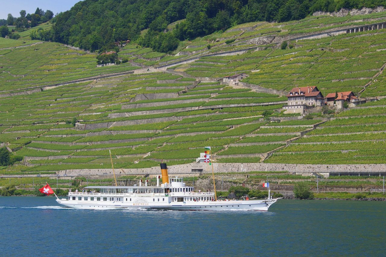 Lavaux Panorama Schifffahrt zwischen Lausanne und Vevey 