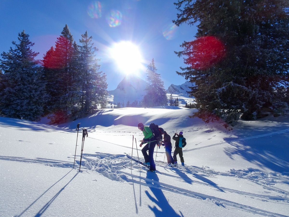 Practice day avalanche knowledge with ski, splitboard, and snowshoe tour