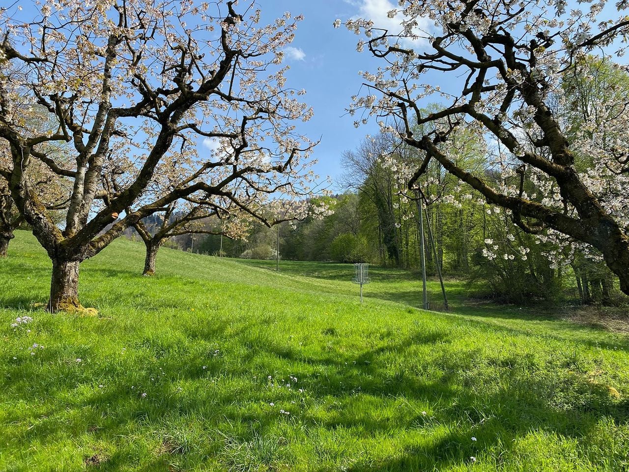 Hofstetten-Flüh