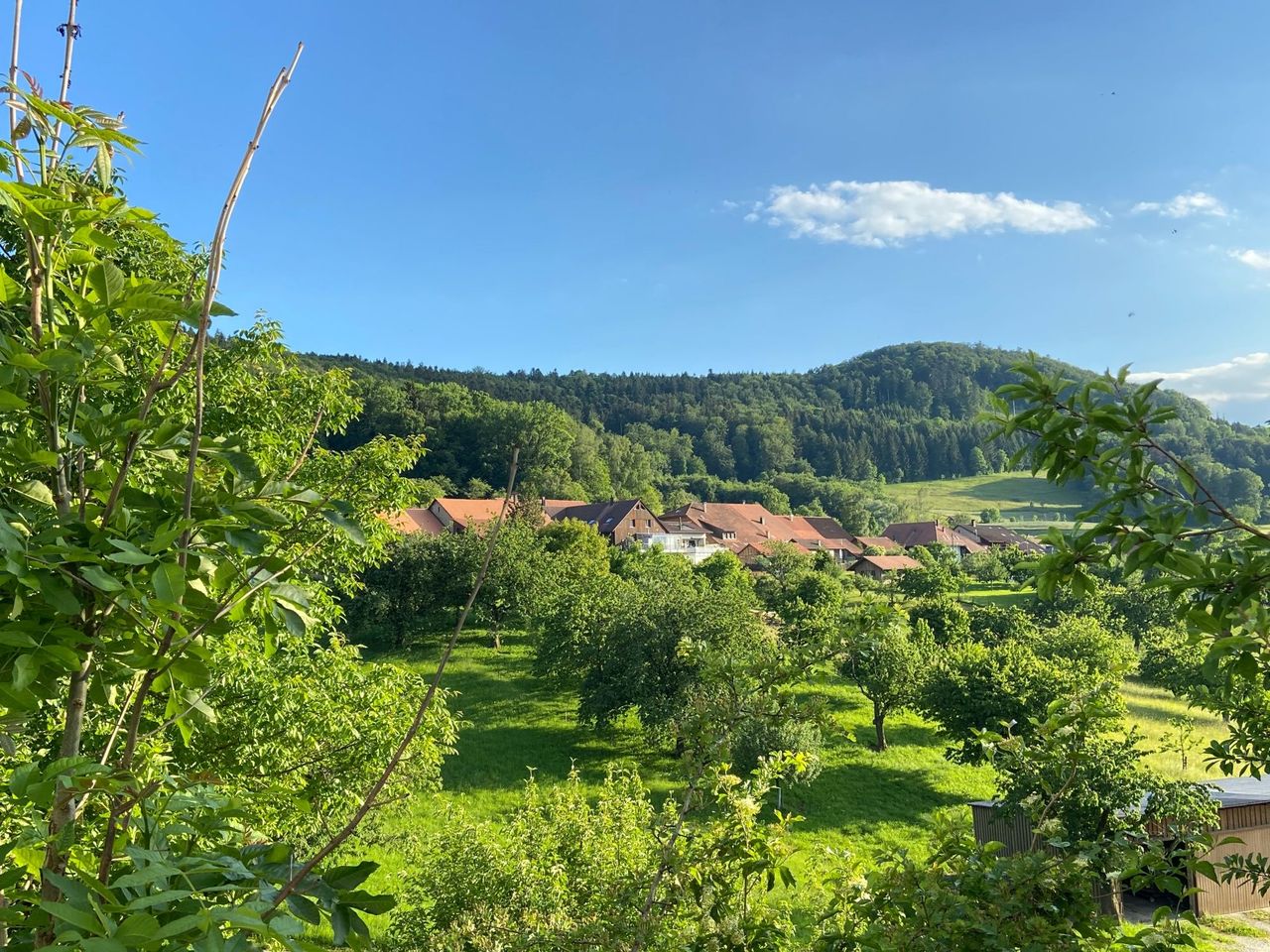 Vortrag “erste Schweizer Ärztin” im Jurapark Aargau