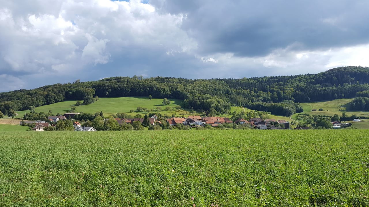 Evening hike to the Bruderhöhle in Effingen