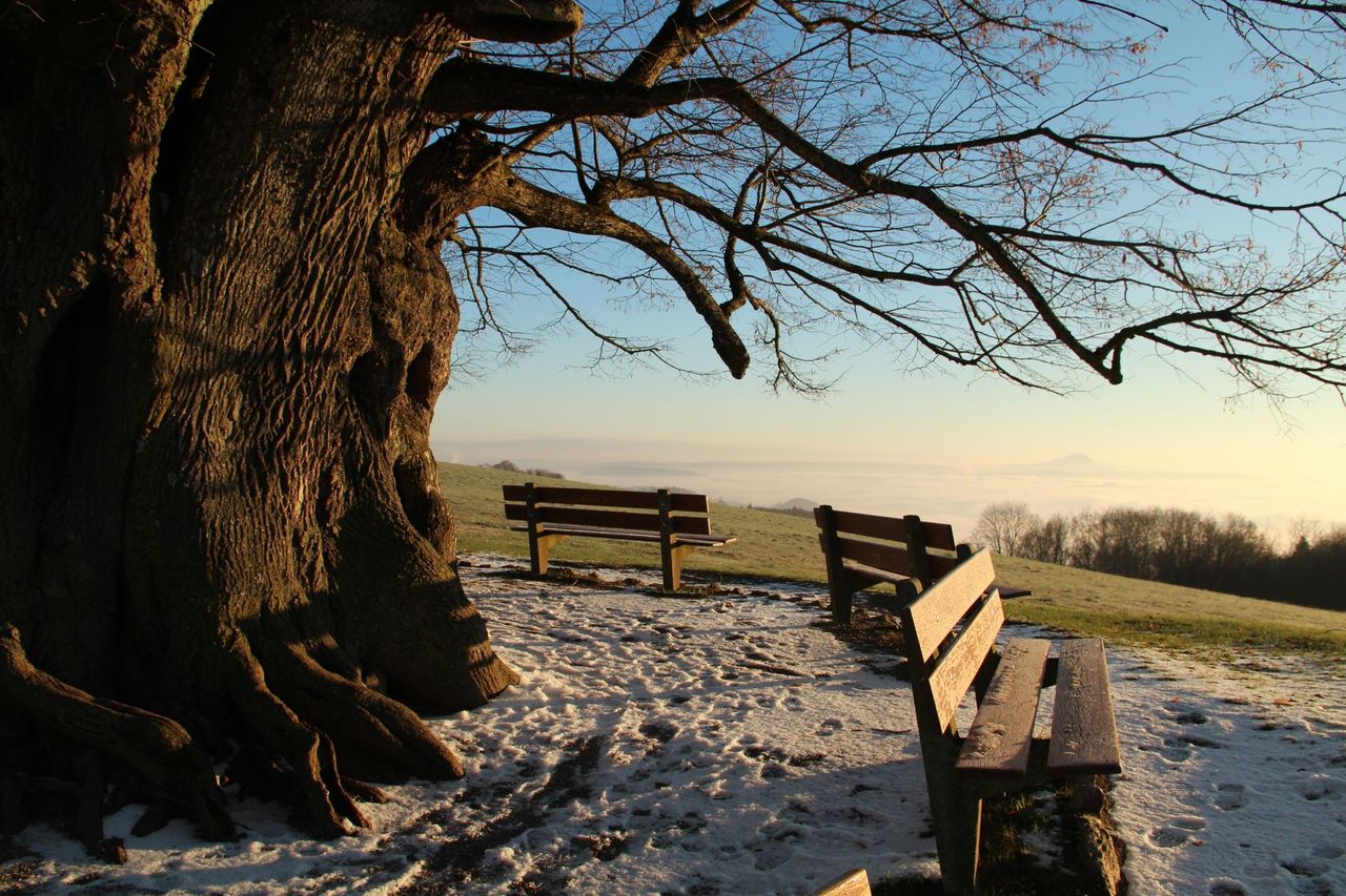 Wanderung Linner Linde bis Museum Bözberg für Gruppen
