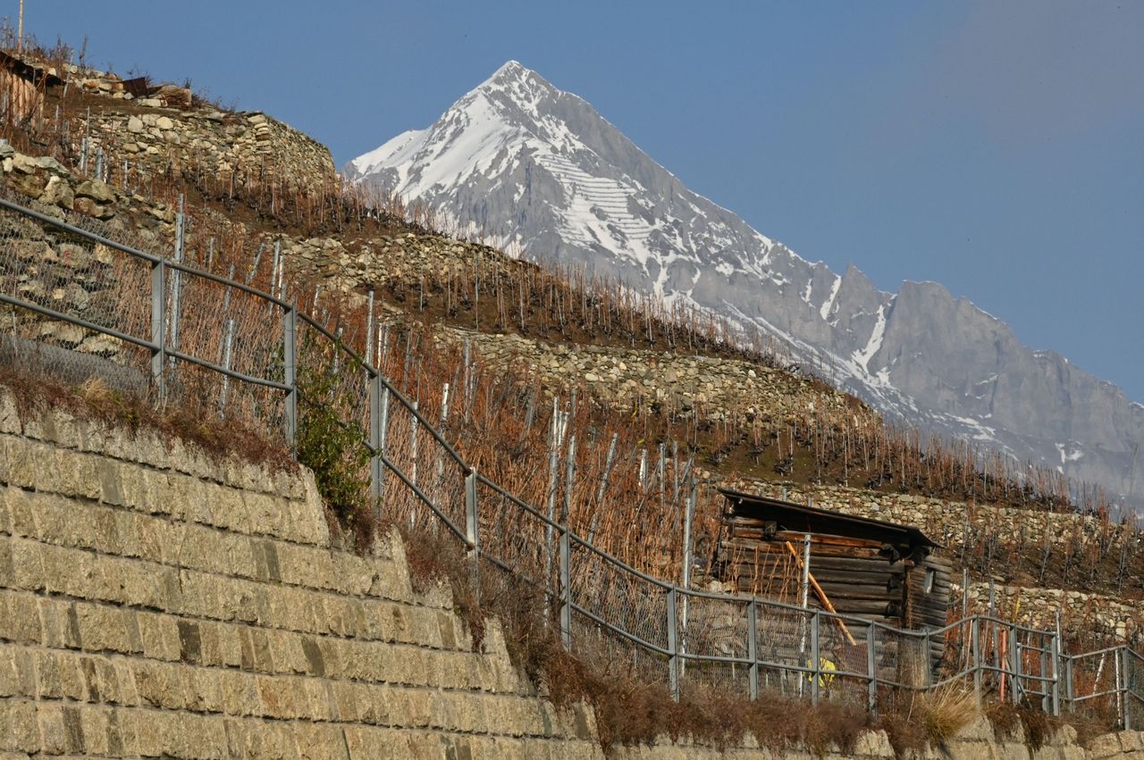 To Sion airport: transfer in minibus