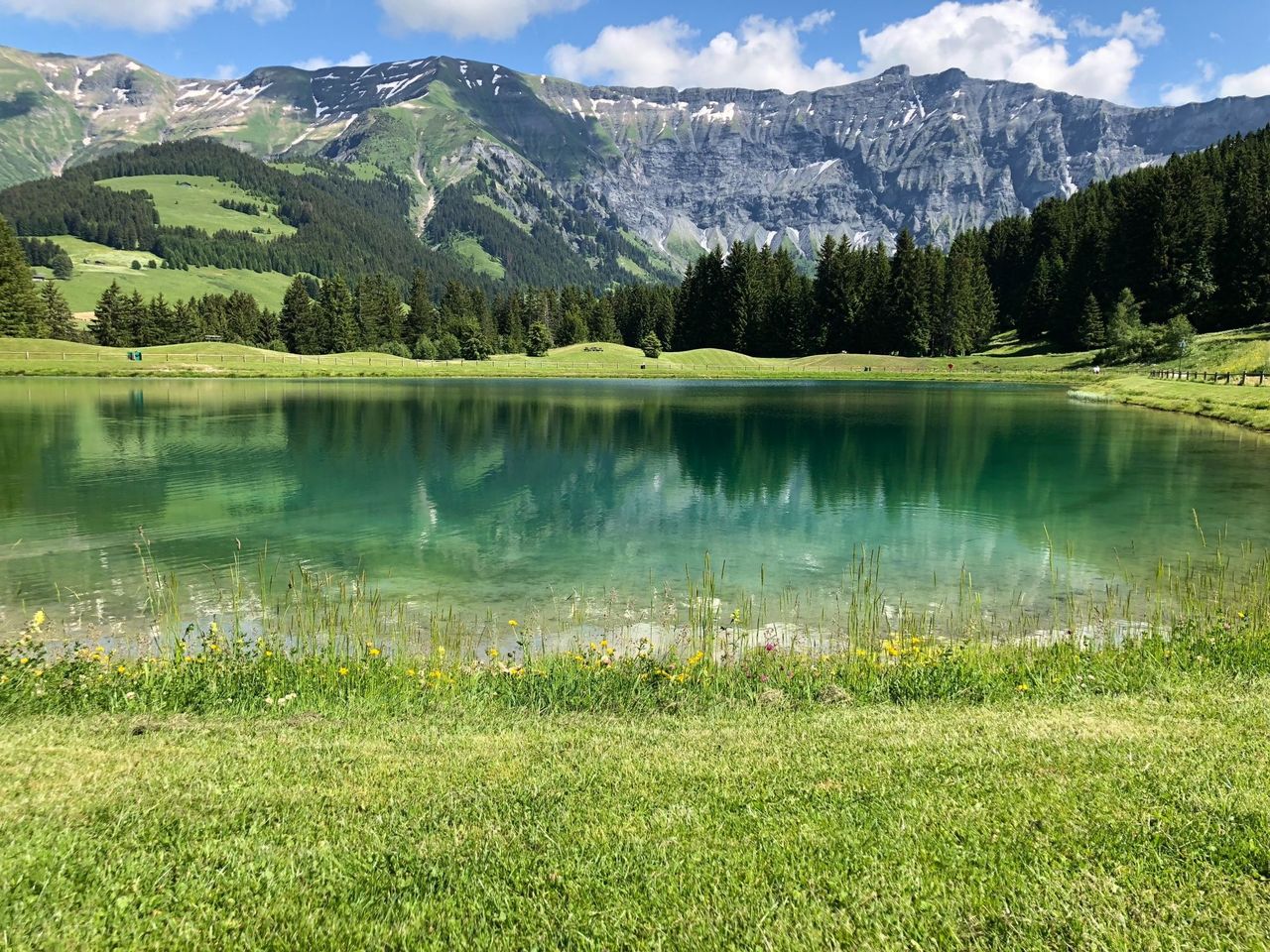 From Geneva or Geneva Airport: transfer to popular places in the French Alps