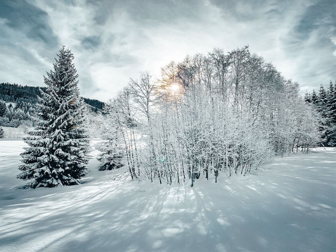 From Geneva or Geneva Airport: transfer to popular places in the French Alps