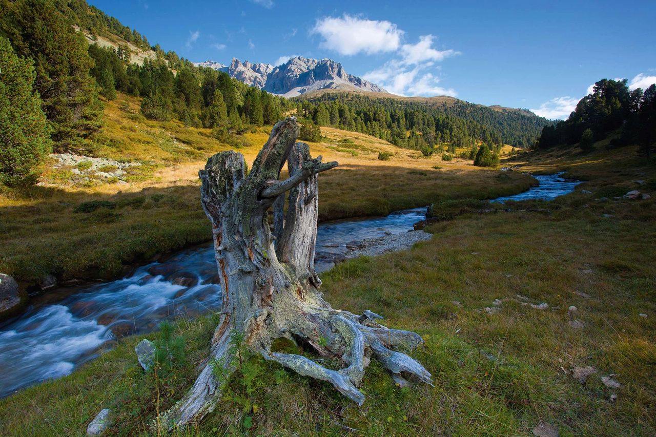 Lostallo