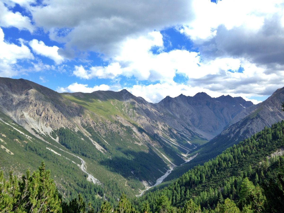 Wanderung zur Hirschbrunft im Schweizer Nationalpark