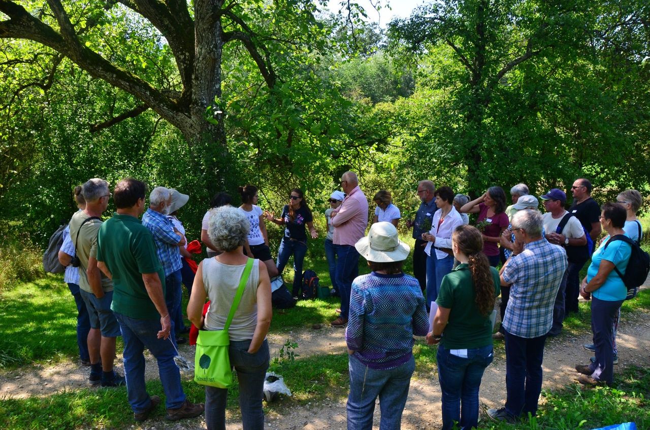 Book your Guide - geführte Wanderung für Gruppen im Jurapark Aargau