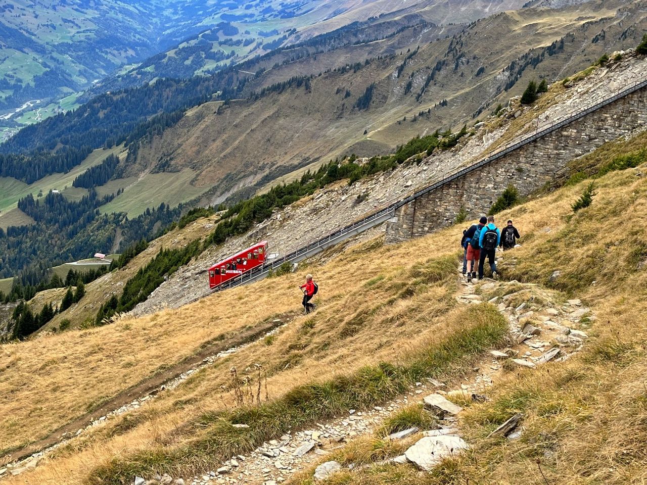 Niesenbahn Ticket ab Mülenen