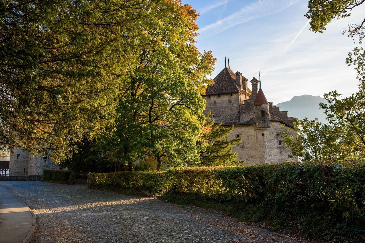 Ticket Chateau Chillon in Montreux