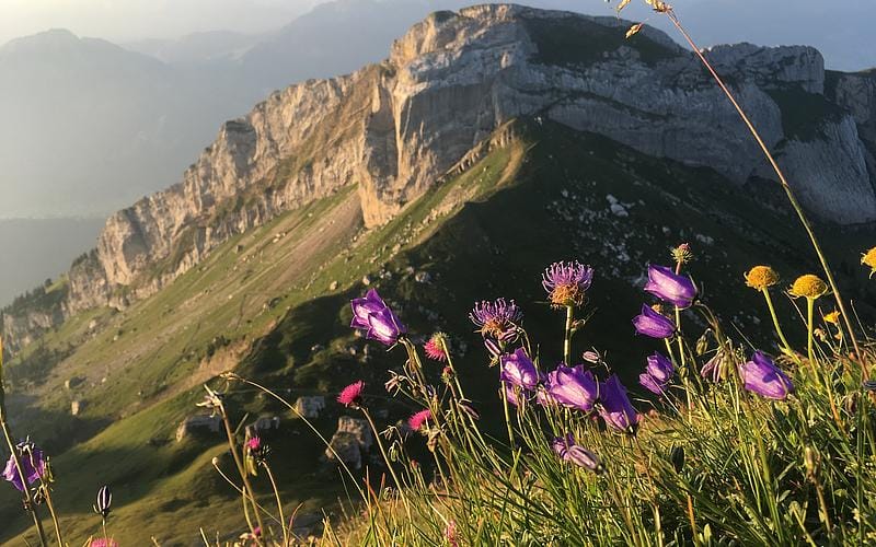 Pilatus - selbstgeführte Goldene Rundfahrt ab Luzern inkl. Schifffahrt