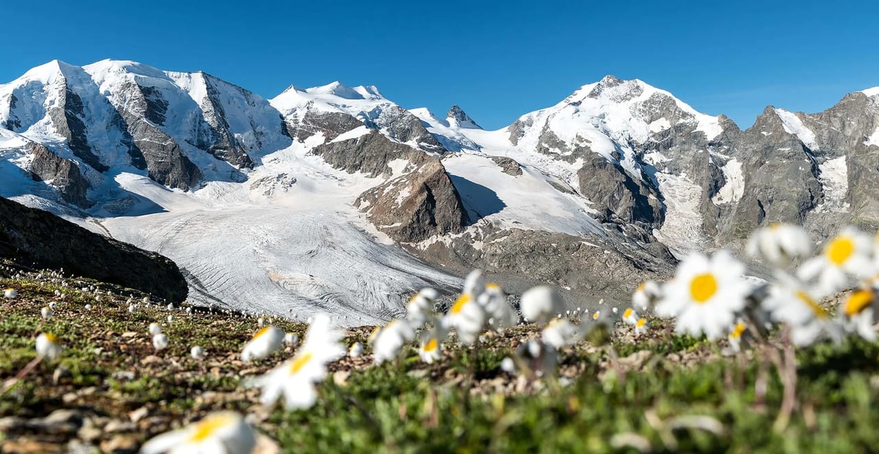 Pontresina