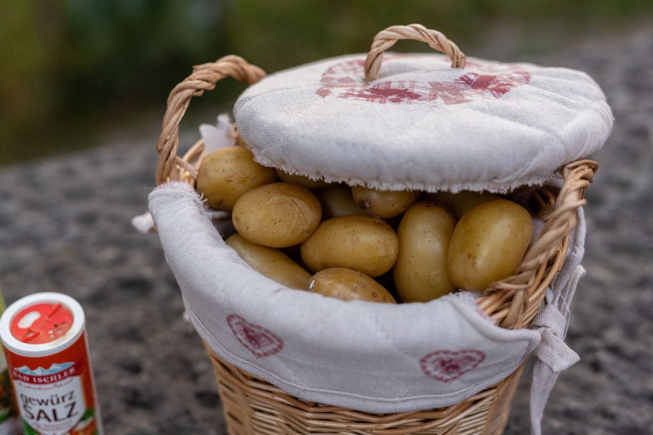 LGBTQ City Tour through Zurich with optional Raclette