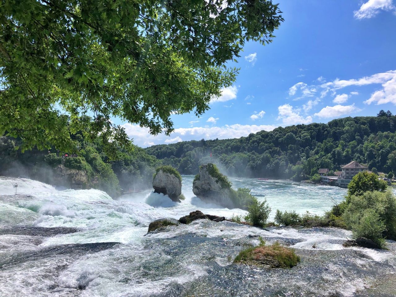 Ab Zürich: Bustour zum Rheinfall halber Tag