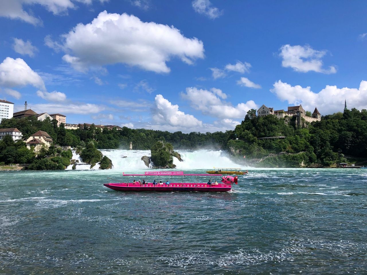 Ab Zürich: Bustour zum Rheinfall halber Tag