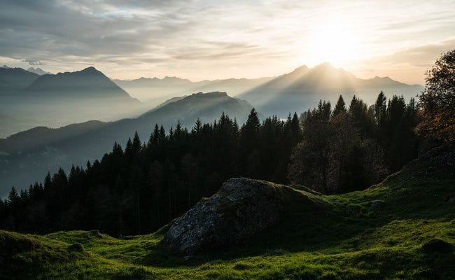 Mittagessen auf der Rigi inkl. Tageskarte Rigibahnen