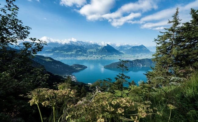 Mittagessen auf der Rigi inkl. Tageskarte Rigibahnen
