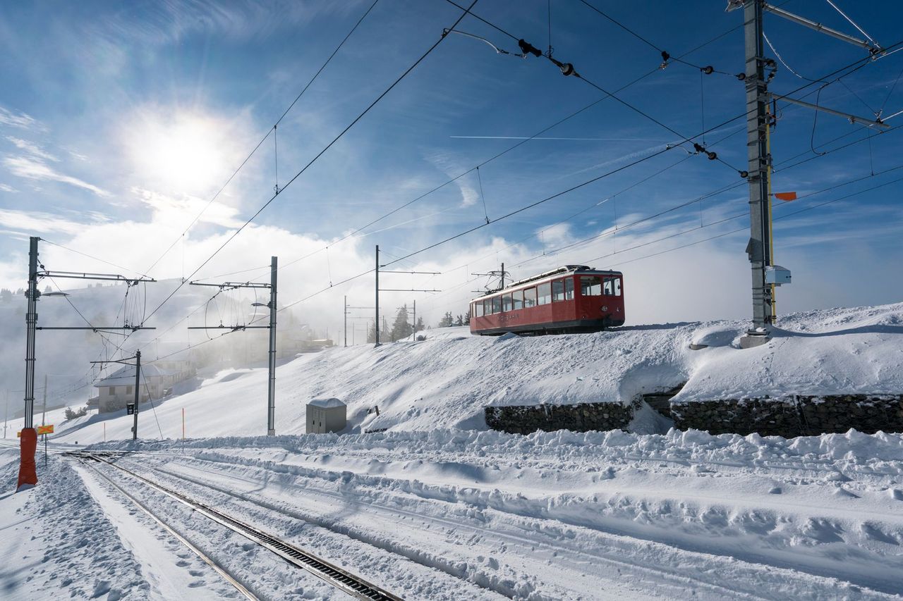 Swiss Half Fare Card