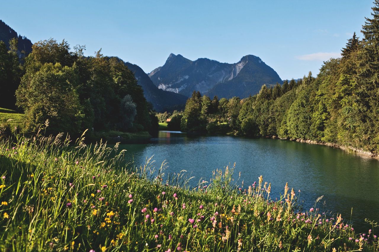 Rossinière
