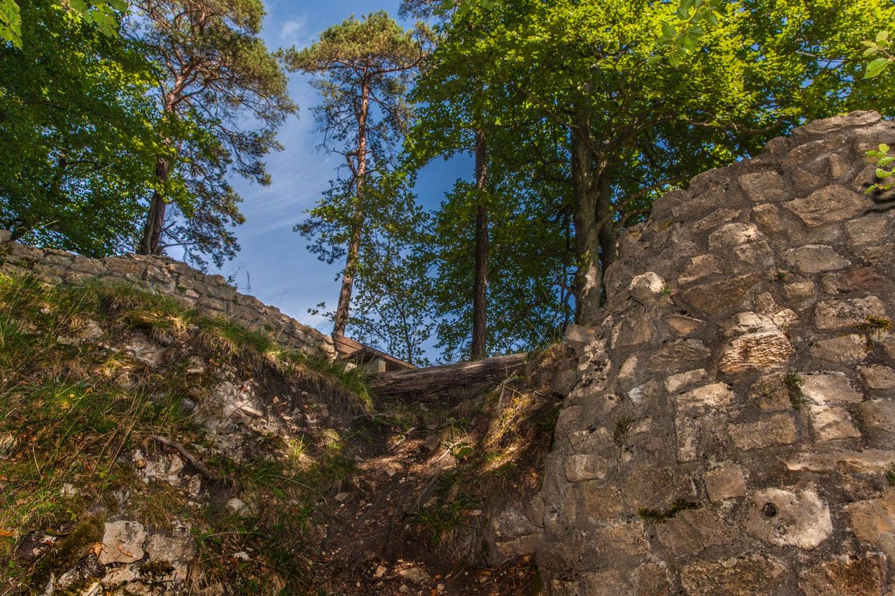 Hike ruin Königstein and its lords of Kienberg