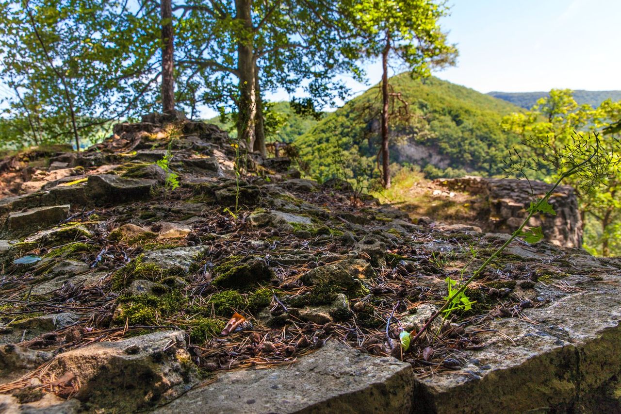 Hike ruin Königstein and its lords of Kienberg