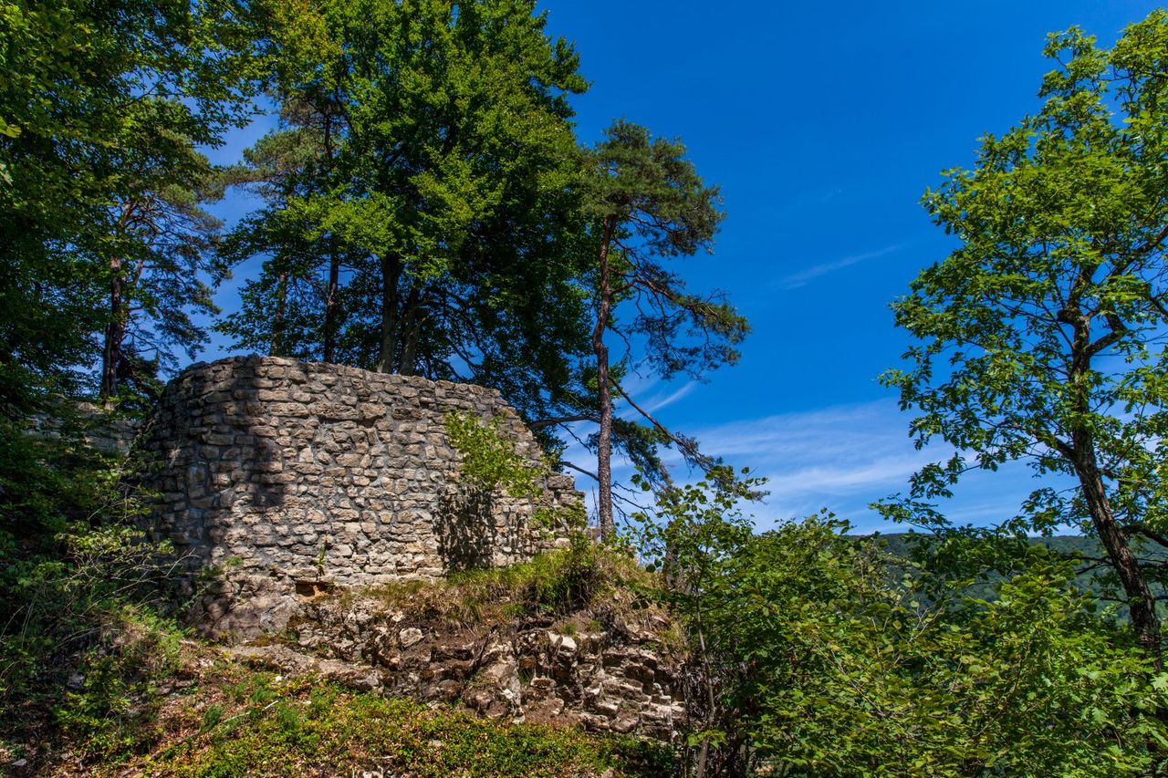 Hike ruin Königstein and its lords of Kienberg