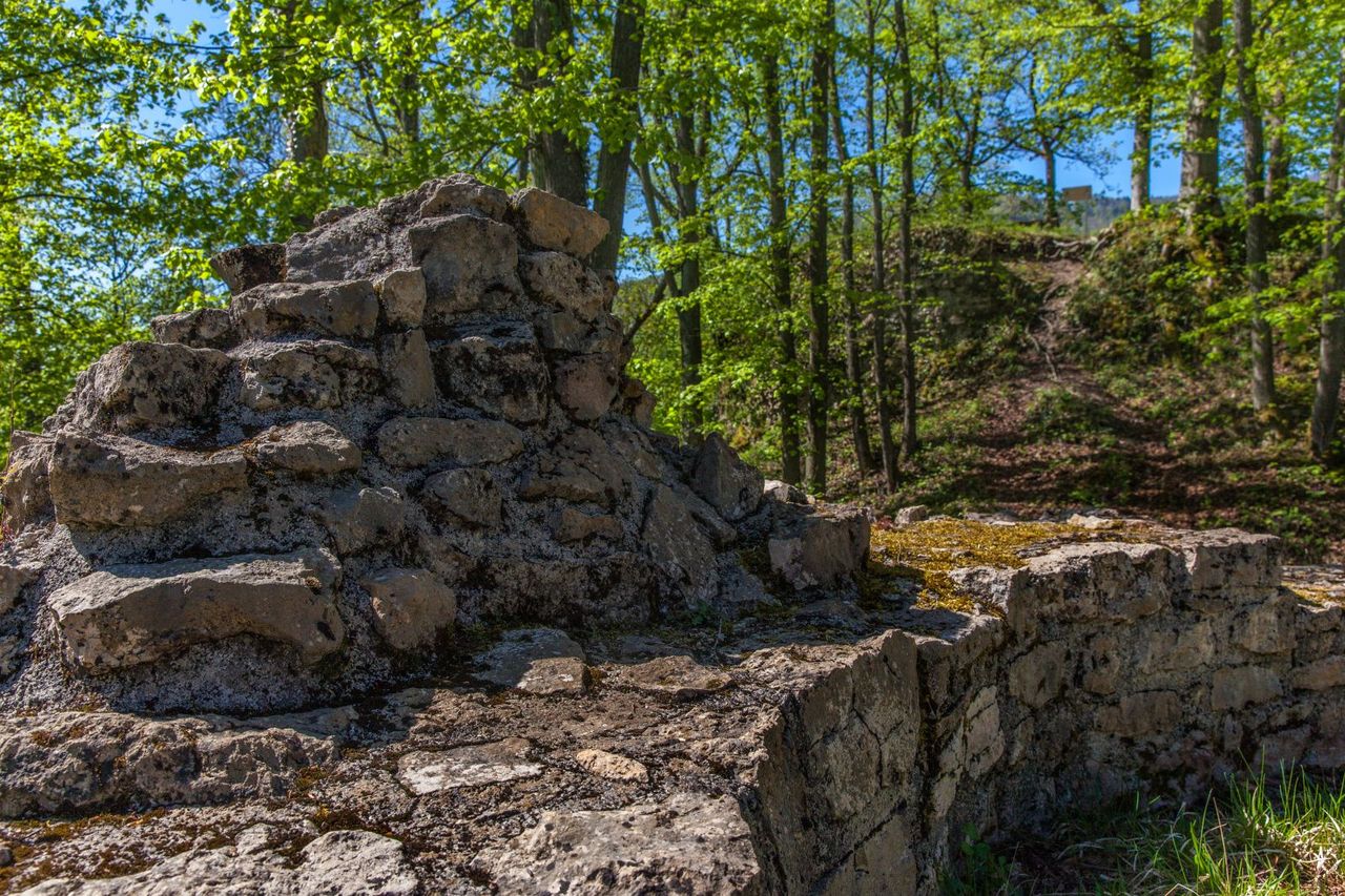 Hike "Time travel: Densbüren then and now"