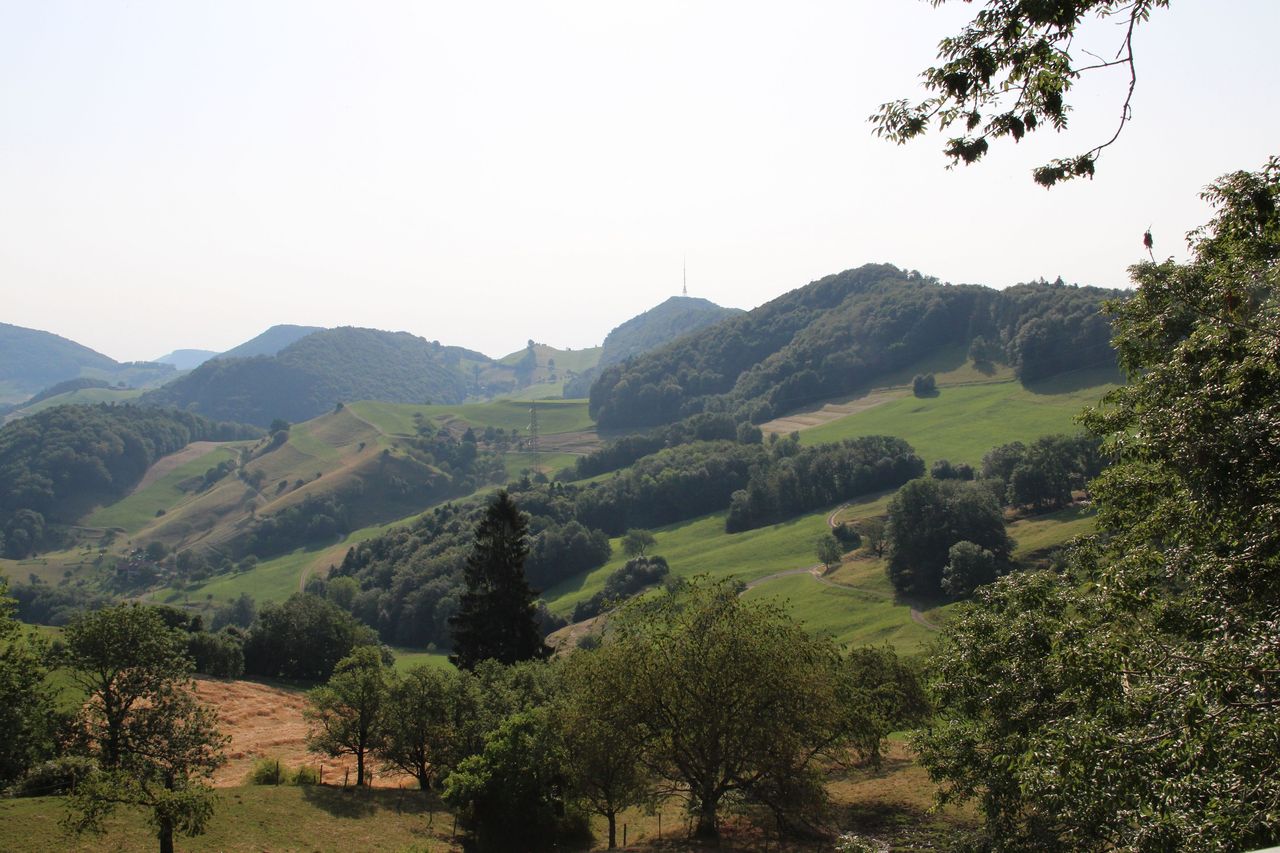 Hike ruin Königstein and its lords of Kienberg