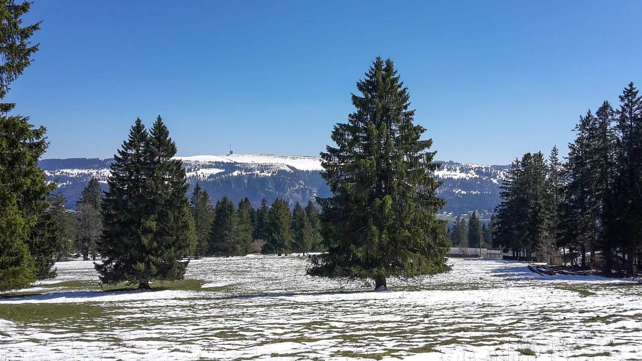 Bilhete Mont Soleil a partir de Saint-Imier