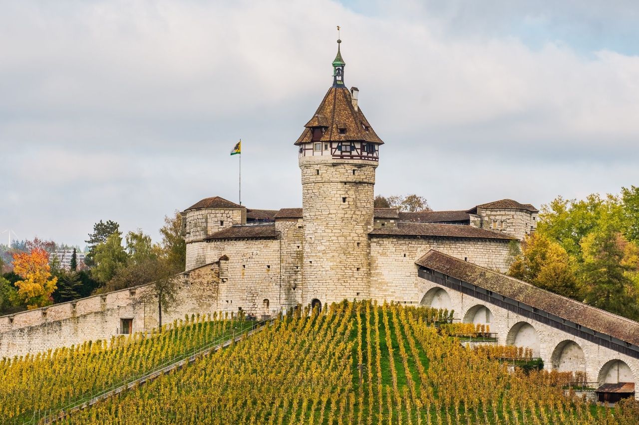 Bahnticket zwischen Schaffhausen und Romanshorn  