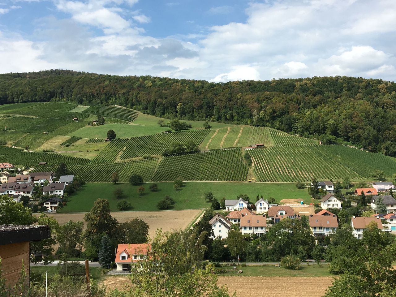 Guided excursion to the Glögglifrosch in the Jurapark Aargau
