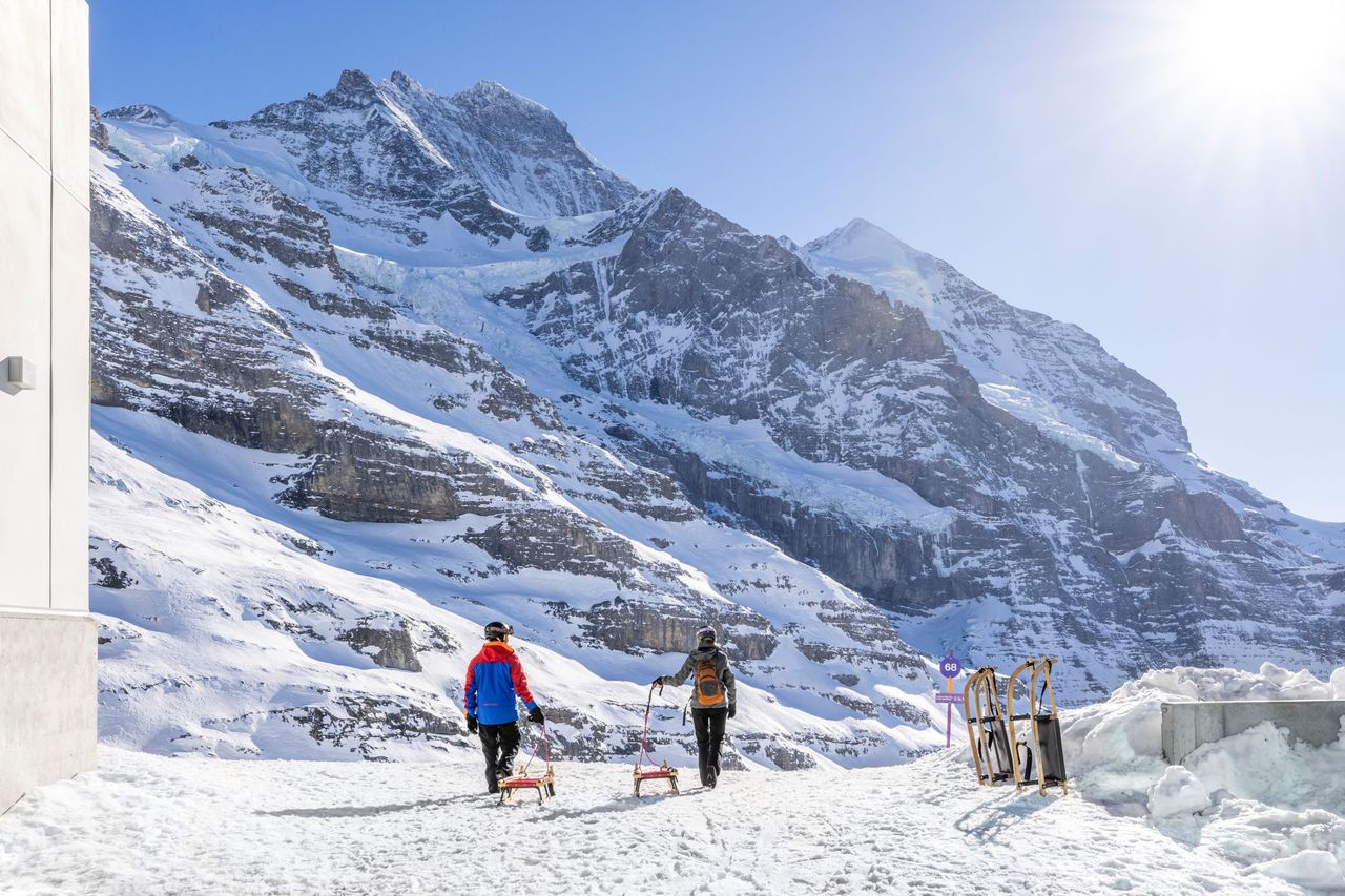 "Eiger Run" ab Kleine Scheidegg Schlittelticket inkl. Bahnticket ab Grindelwald