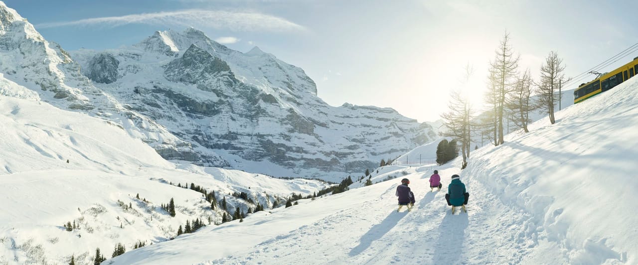 First Bachalpsee Schlittelticket ab Grindelwald