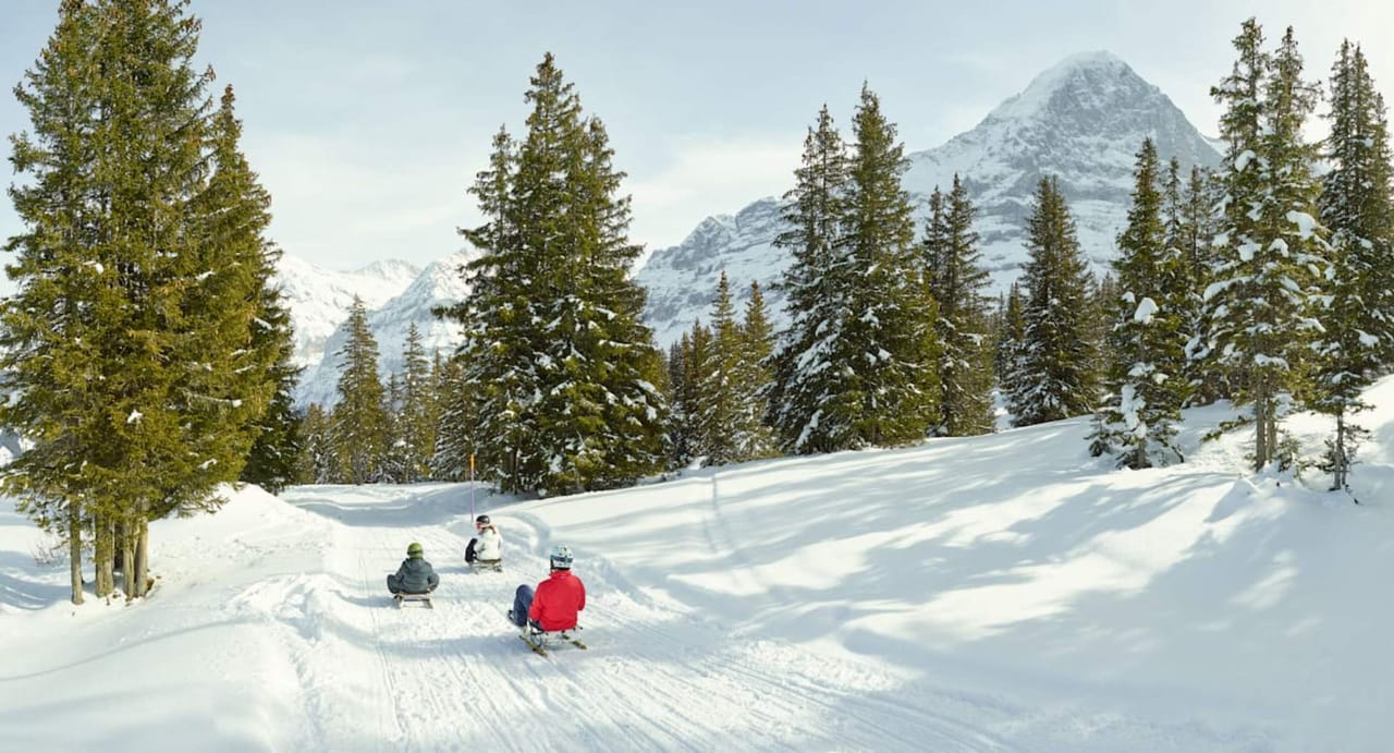 "Ritas Speedway" Schlittelticket Männlichen ab Grindelwald