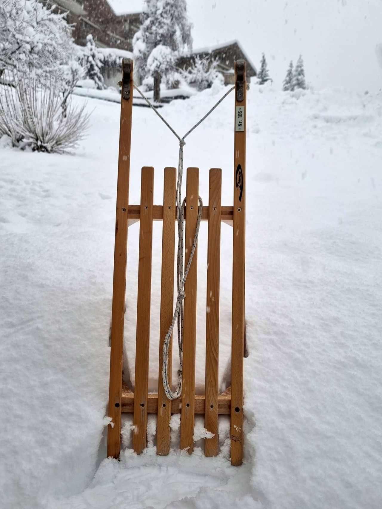 Schlitten mieten Grindelwald