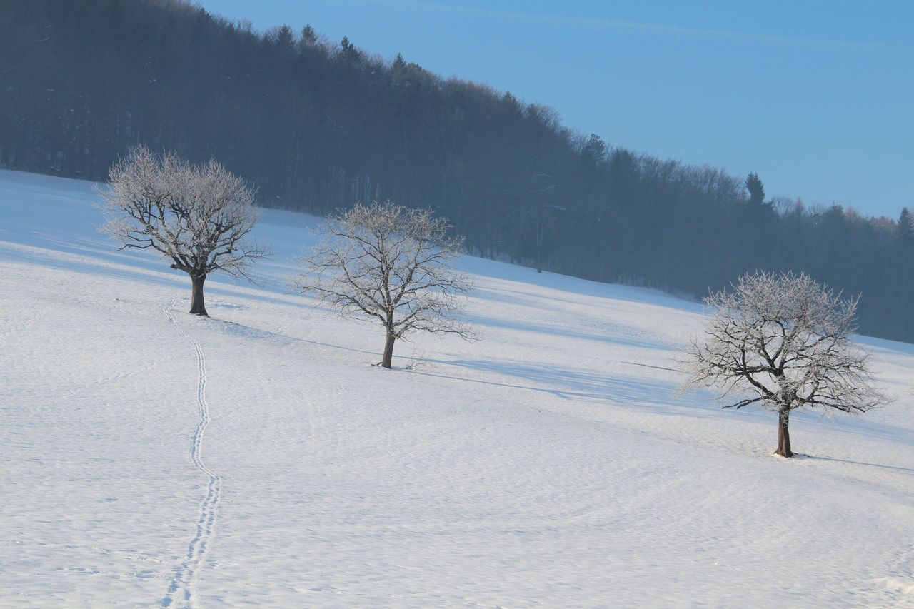 Winter hike snow, ice and geology in the Jurapark Aargau