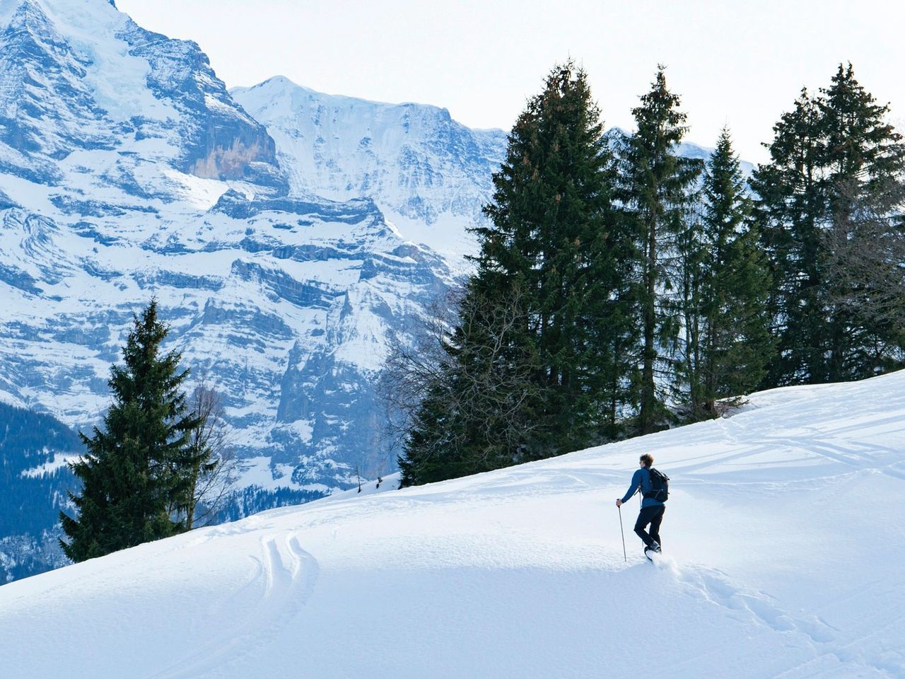 Schneeschuh-Abenteuer in den Schweizer Alpen