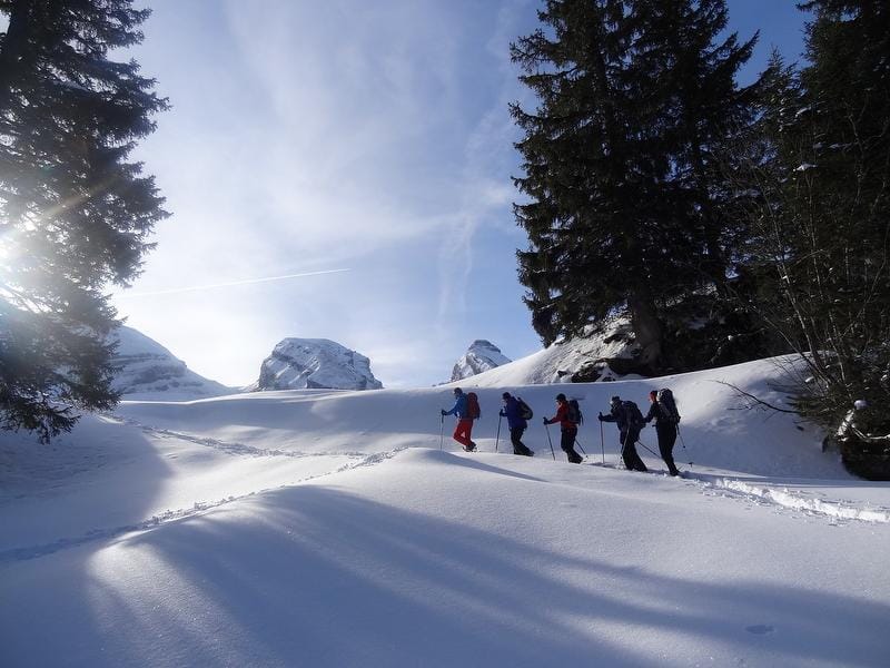 Schneeschuhtour Frümseltal im Toggenburg