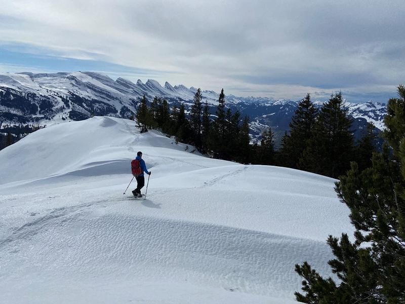 Gulmen Schneeschuhtour im Toggenburg
