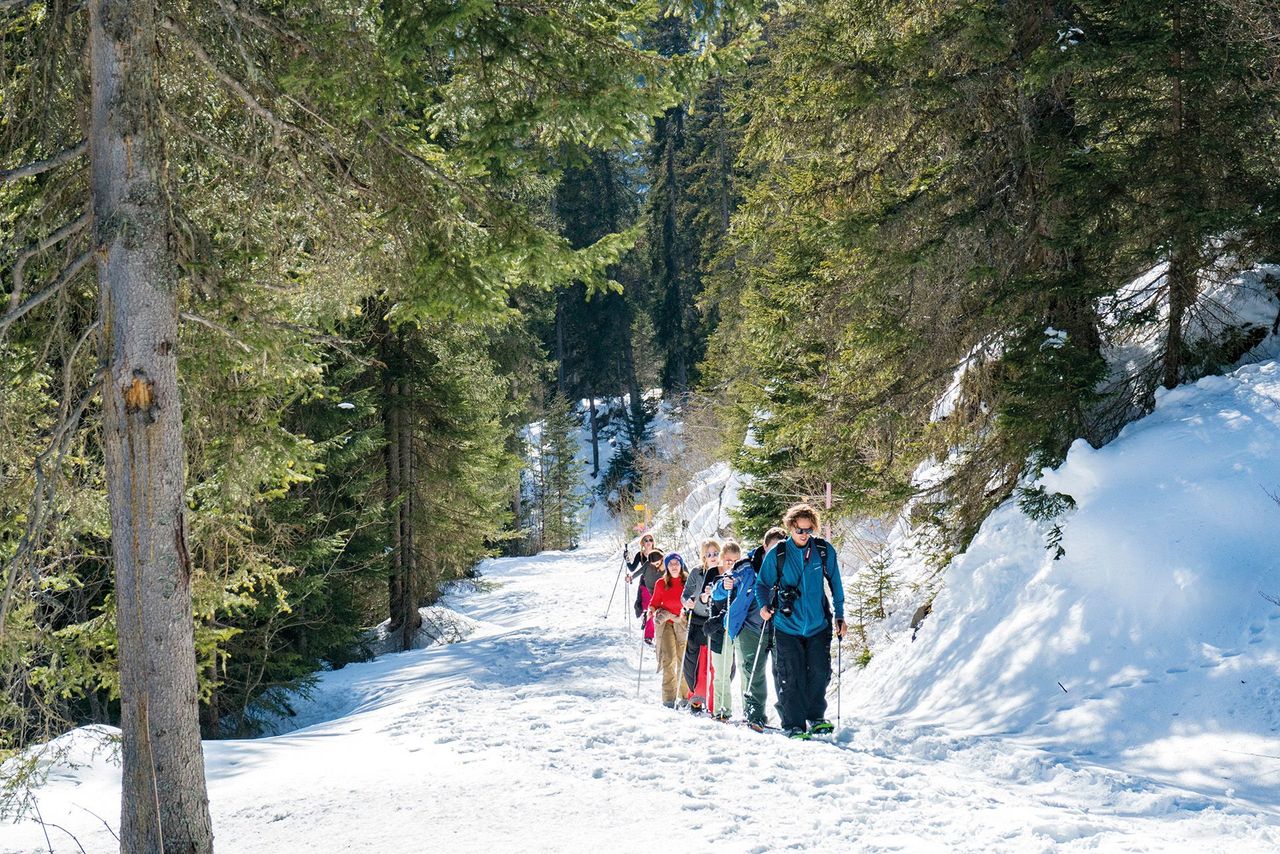 Snowshoe tour Eiger north face from Grindelwald group