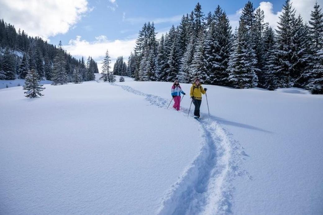 Schneeschuhwandern inkl. Ticket Seilbahn und Käsefondue ab Flums