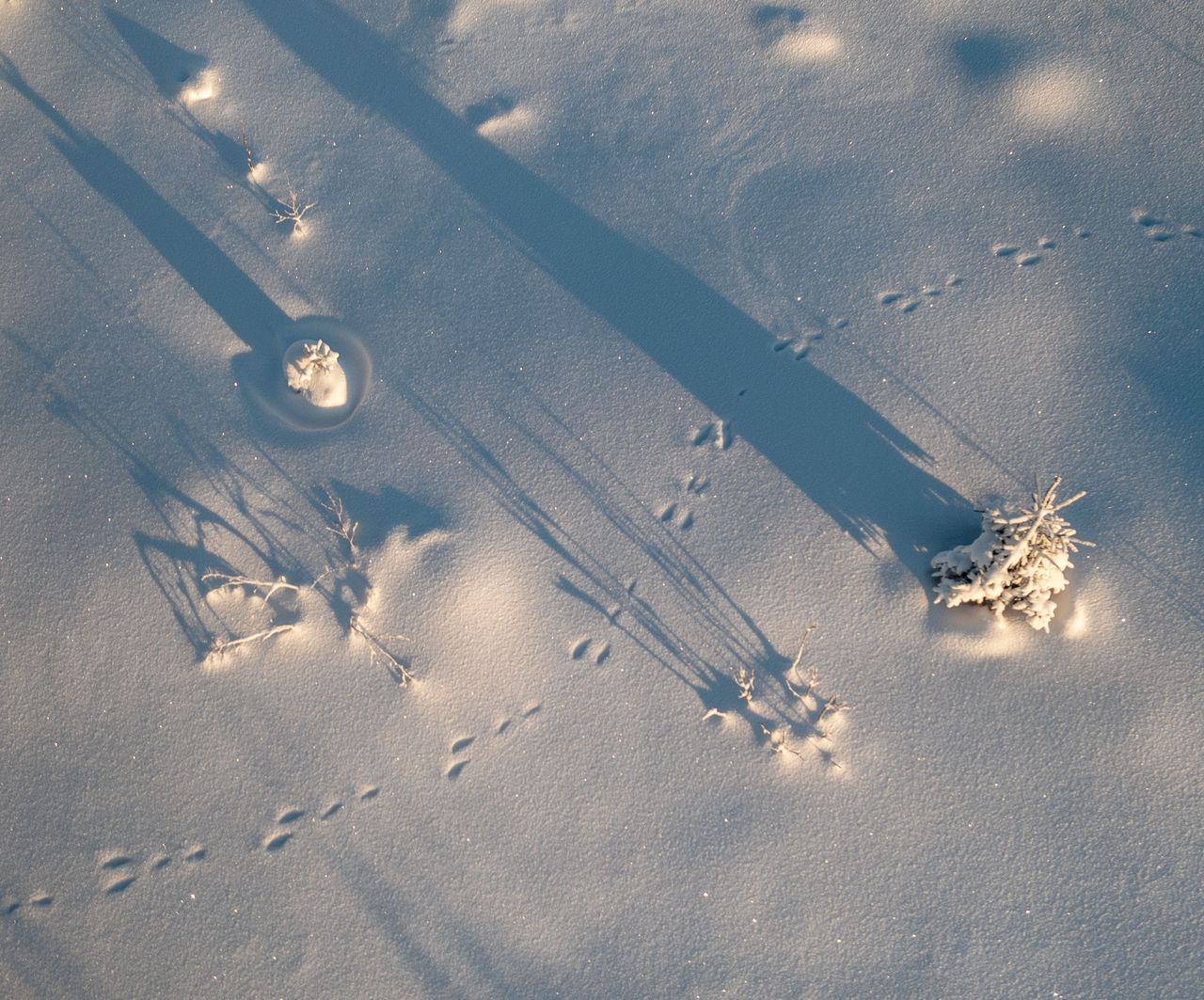 Hike tracks in the snow in Val Müstair