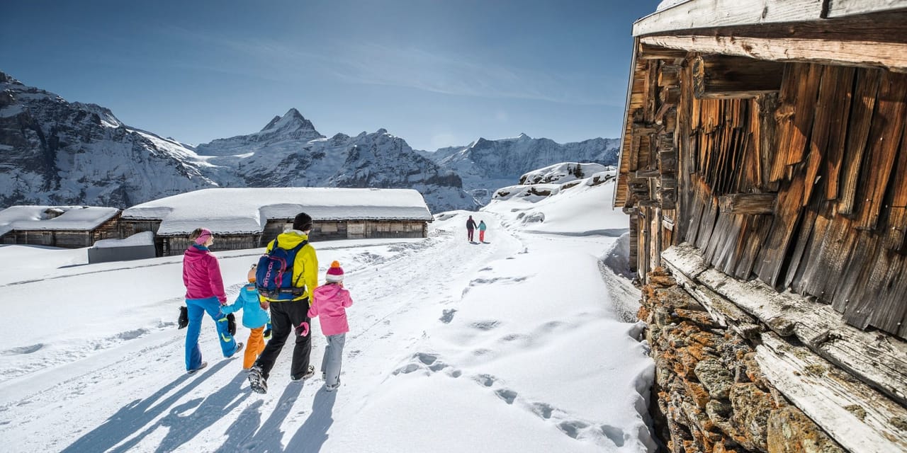 Jungfrau Travel Pass Winter - 3 bis 8 Tage