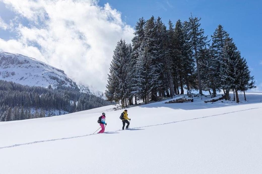 Schneeschuhwandern inkl. Ticket Seilbahn und Käsefondue ab Flums