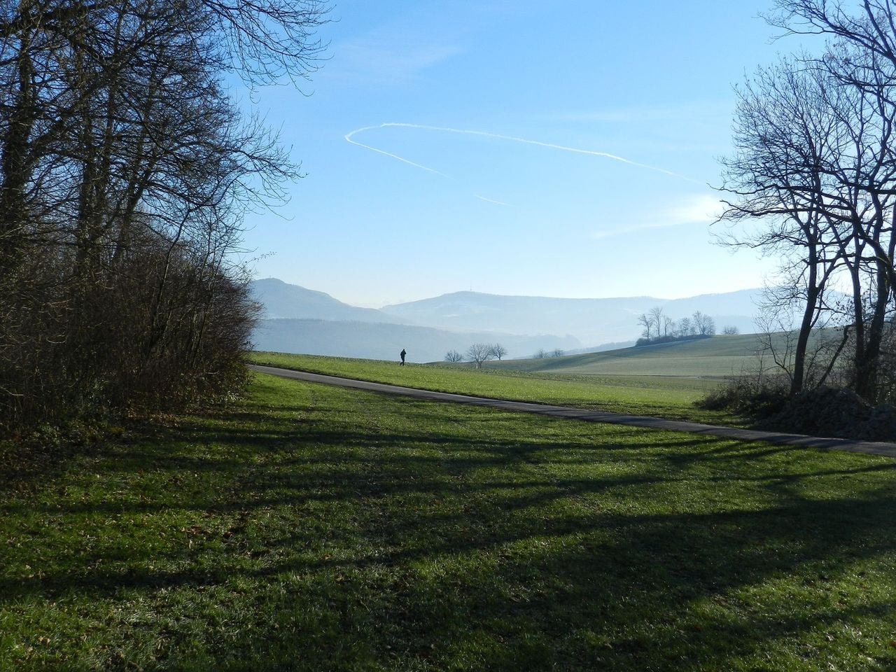 "Forest experience conifers" guided hike in Jurapark Aargau