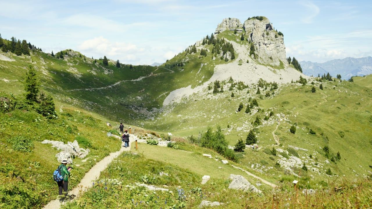 Schynige Platte Ticket Zahnradbahn ab Wilderswil